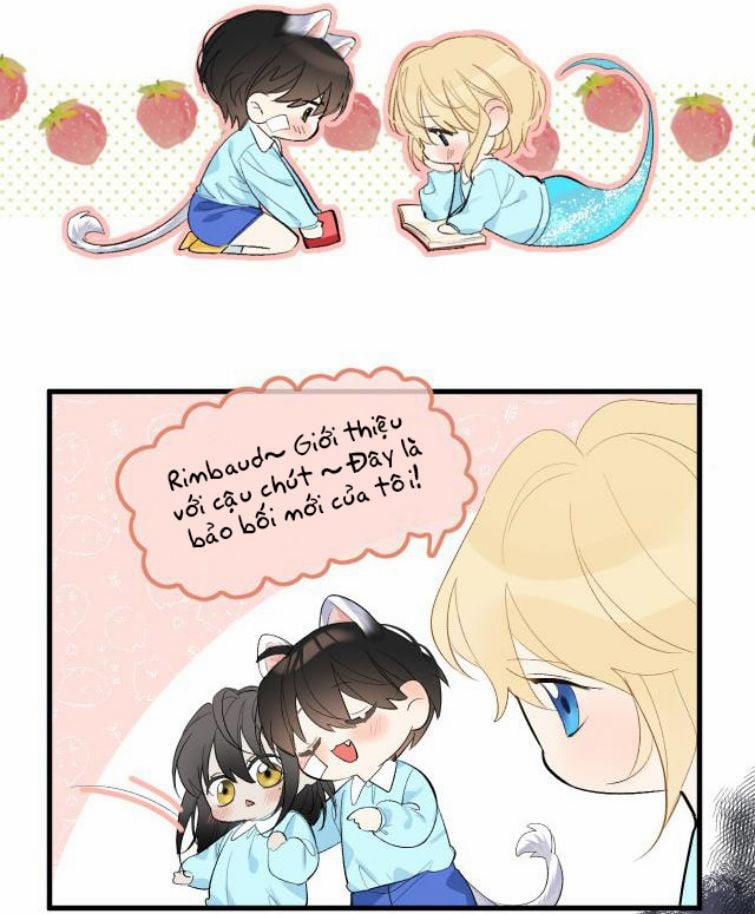 Nhân Ngư Rơi Xuống 12.5 trang 2