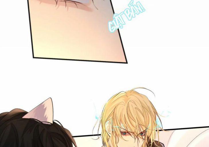 Nhân Ngư Rơi Xuống 14 trang 47