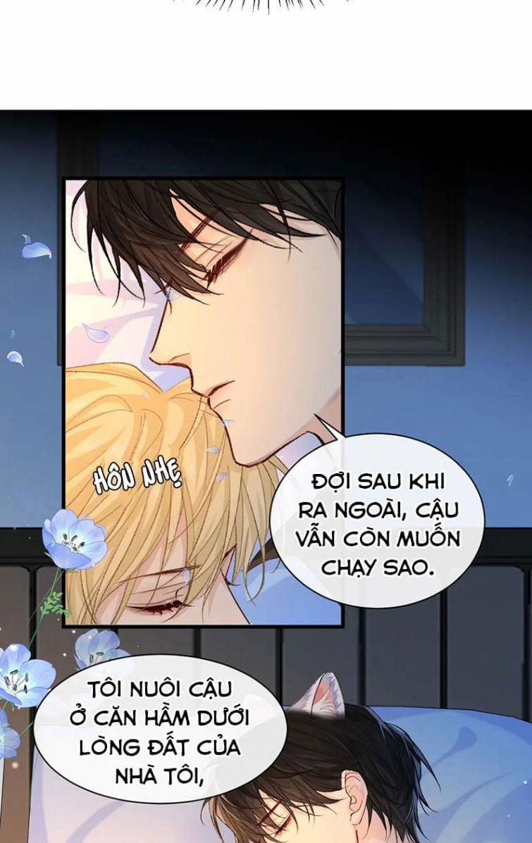 Nhân Ngư Rơi Xuống 15 trang 15