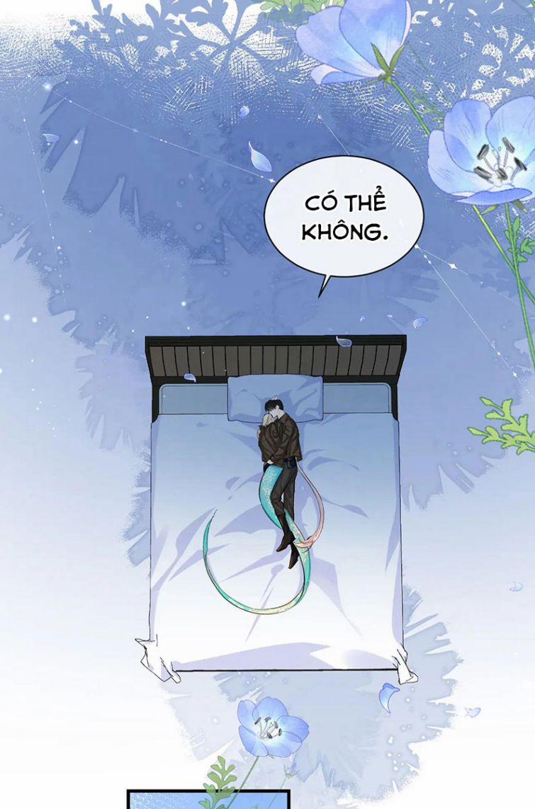 Nhân Ngư Rơi Xuống 15 trang 17