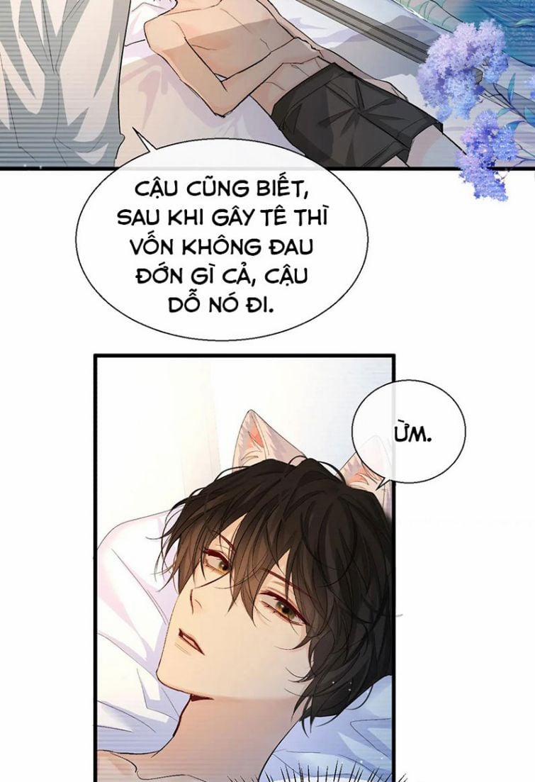 Nhân Ngư Rơi Xuống 15 trang 3