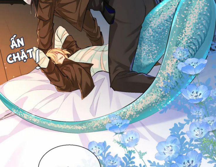 Nhân Ngư Rơi Xuống 16 trang 2