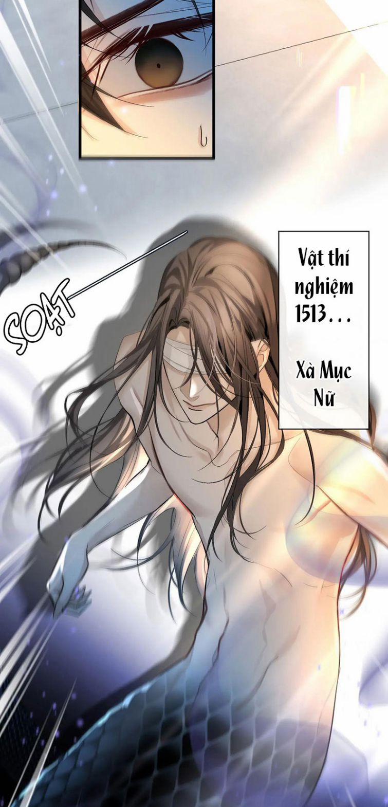 Nhân Ngư Rơi Xuống 18 trang 5