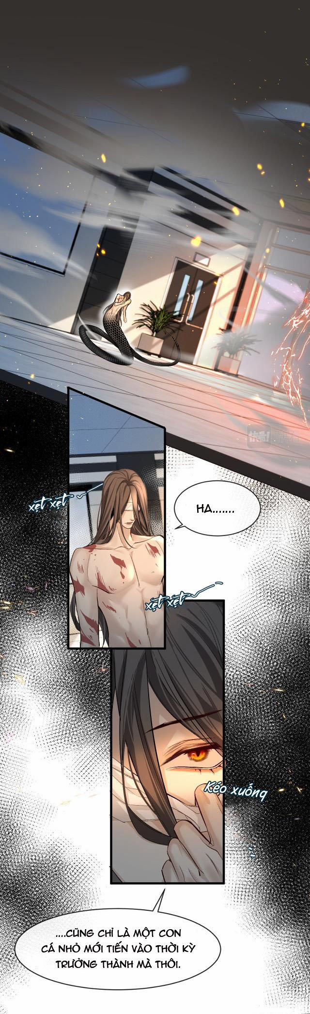 Nhân Ngư Rơi Xuống 19 trang 1