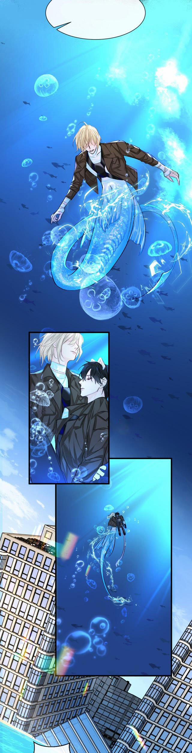 Nhân Ngư Rơi Xuống 19 trang 11