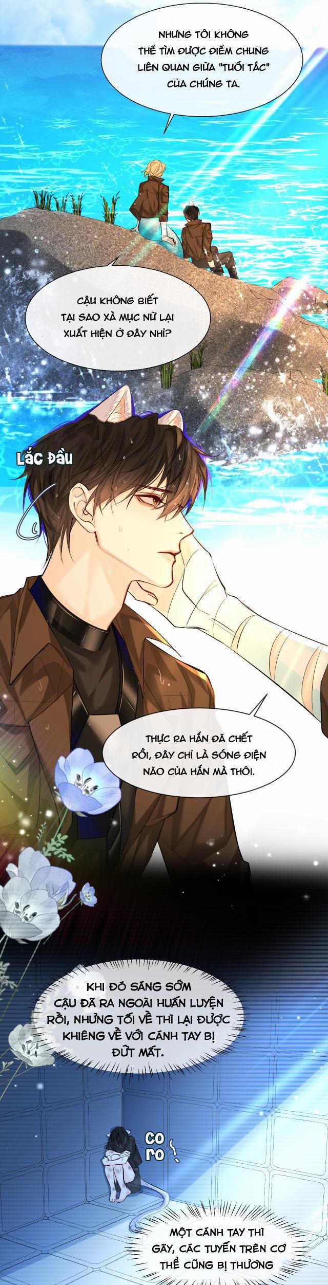 Nhân Ngư Rơi Xuống 19 trang 14