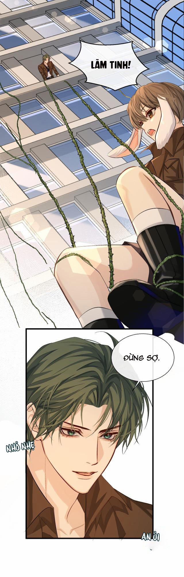 Nhân Ngư Rơi Xuống 19 trang 5