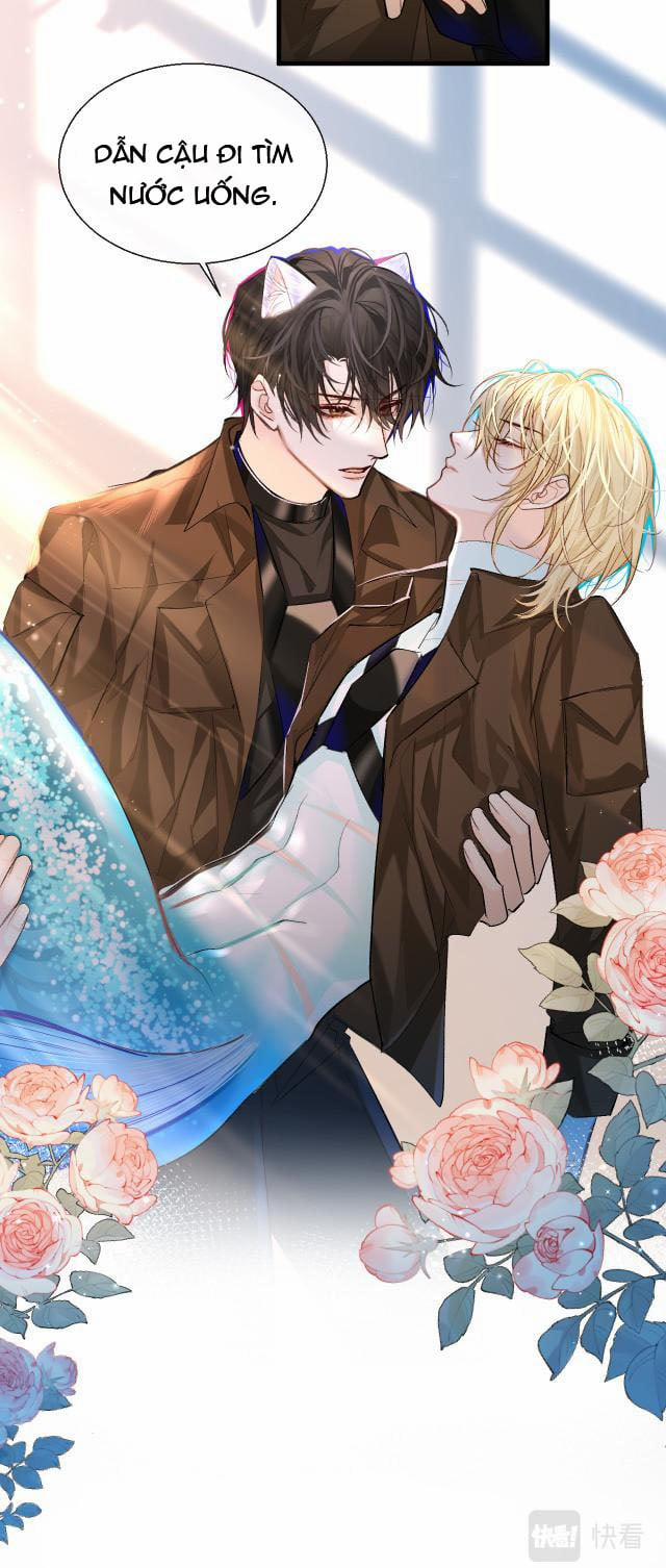 Nhân Ngư Rơi Xuống 20 trang 10