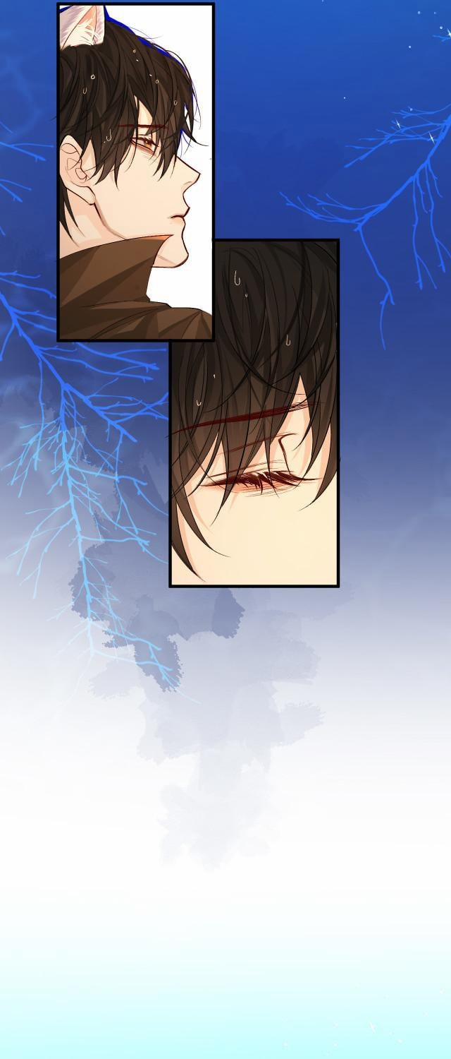 Nhân Ngư Rơi Xuống 20 trang 6