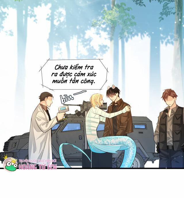 Nhân Ngư Rơi Xuống 21 trang 19