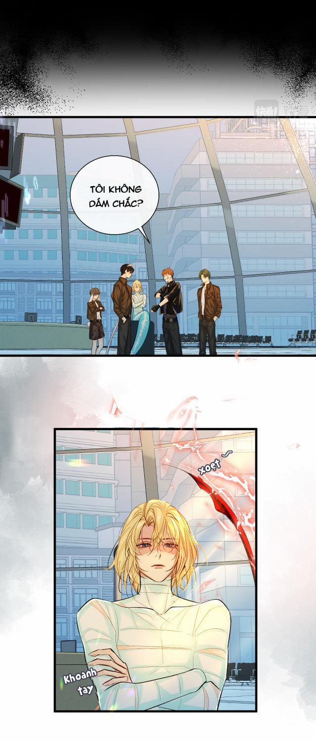 Nhân Ngư Rơi Xuống 21 trang 7