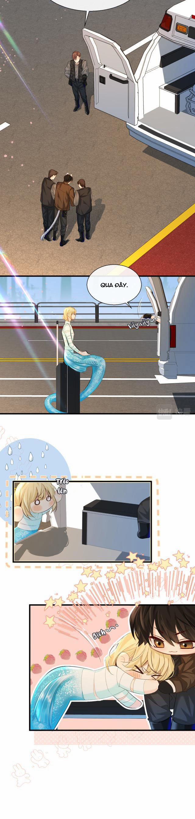 Nhân Ngư Rơi Xuống 22 trang 5