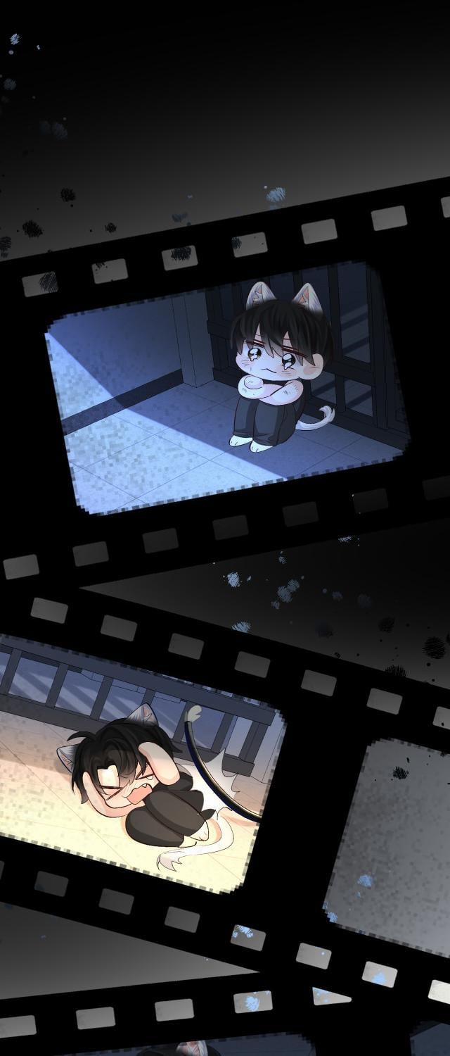 Nhân Ngư Rơi Xuống 23 trang 14