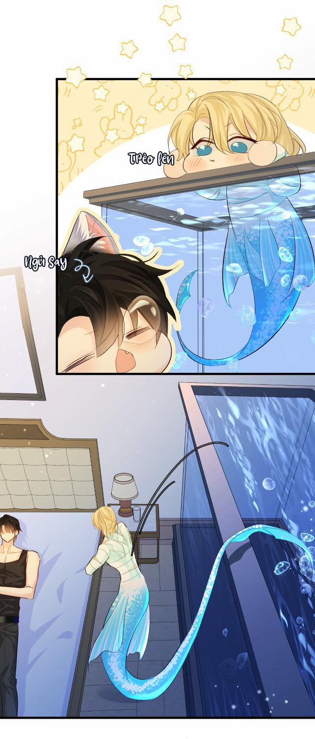 Nhân Ngư Rơi Xuống 23 trang 18