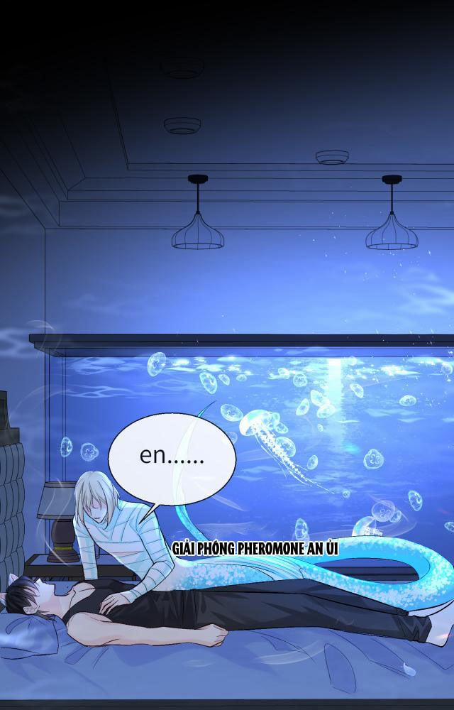 Nhân Ngư Rơi Xuống 23 trang 20