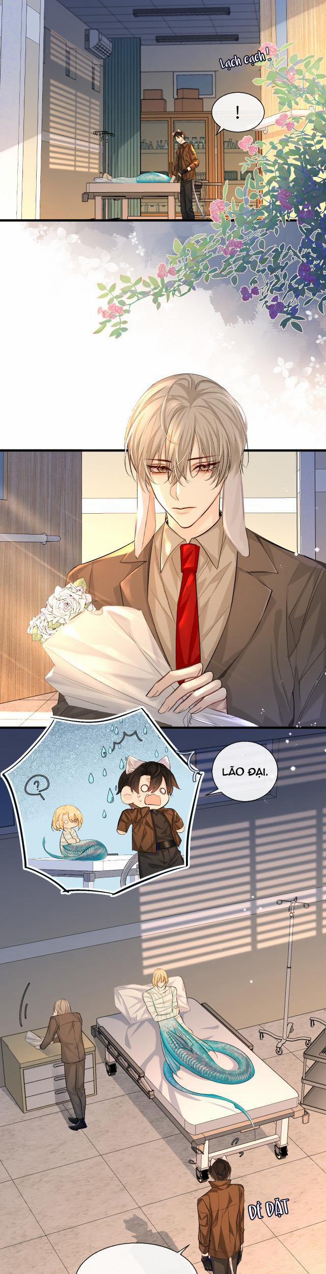 Nhân Ngư Rơi Xuống 23 trang 4