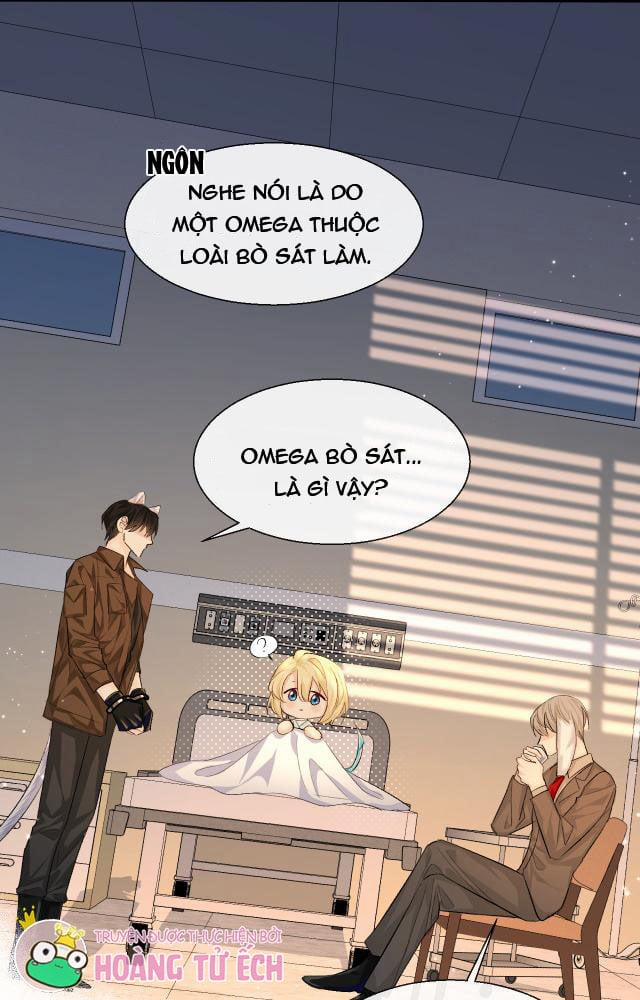 Nhân Ngư Rơi Xuống 23 trang 9