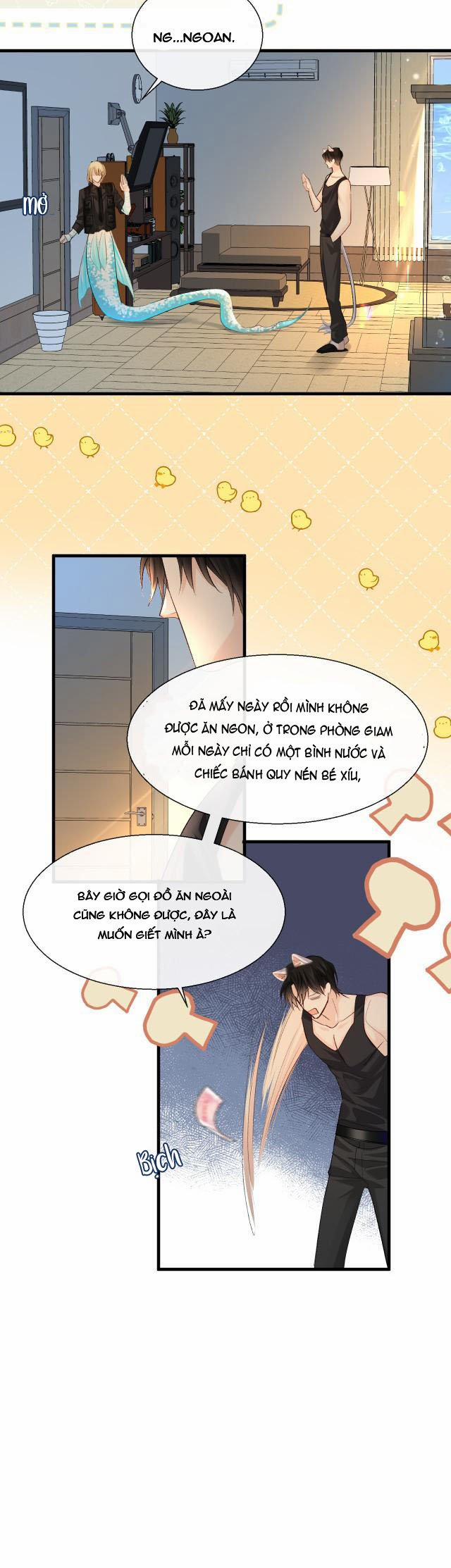 Nhân Ngư Rơi Xuống 24 trang 16