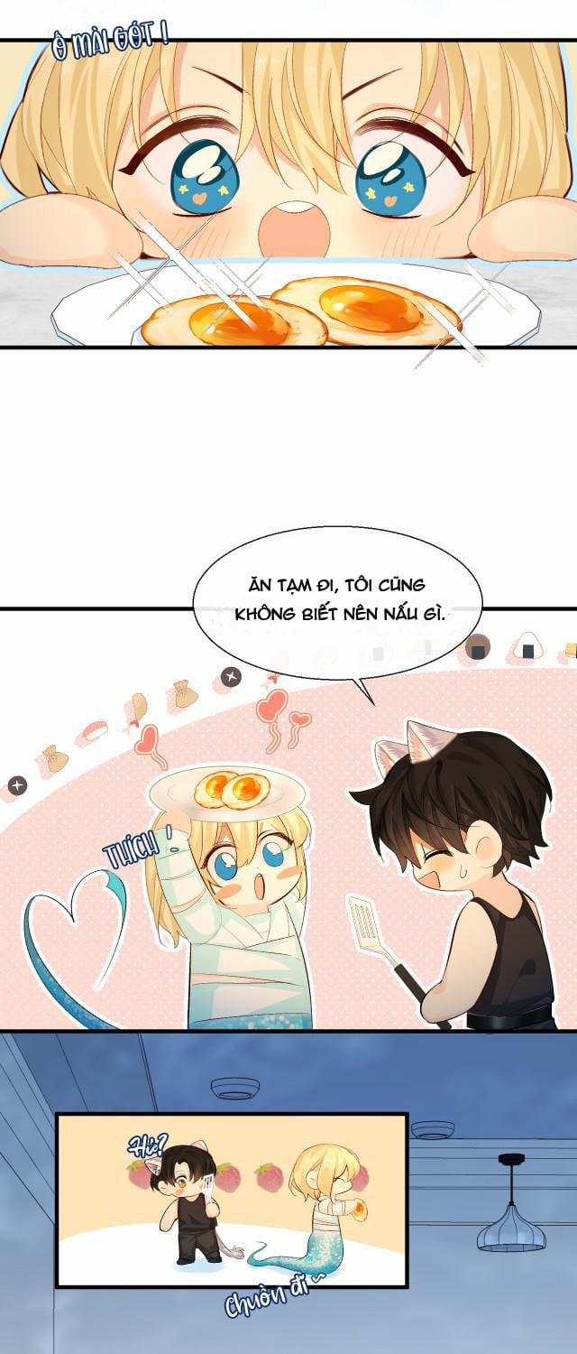 Nhân Ngư Rơi Xuống 24 trang 6