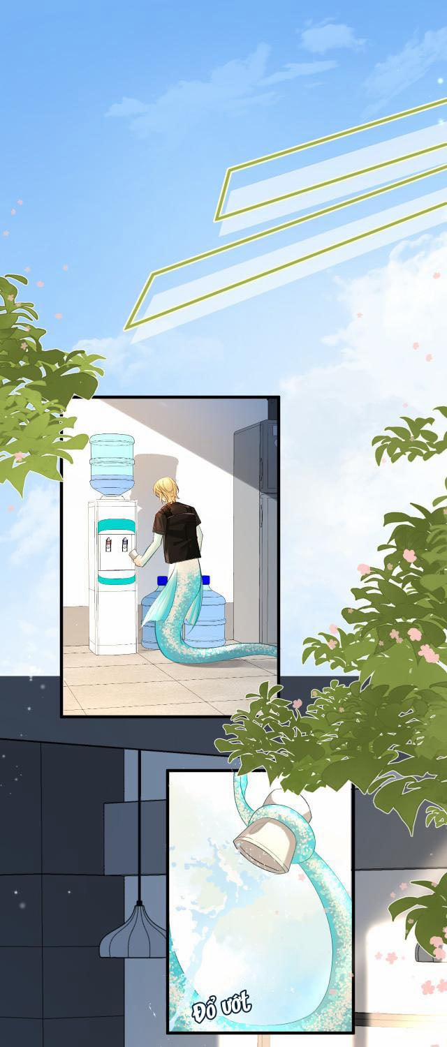 Nhân Ngư Rơi Xuống 25 trang 16