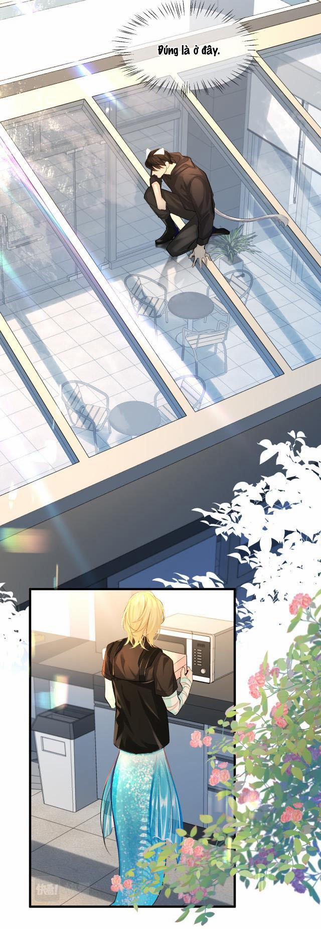 Nhân Ngư Rơi Xuống 25 trang 3