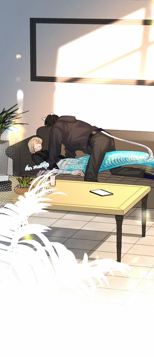 Nhân Ngư Rơi Xuống 26 trang 4