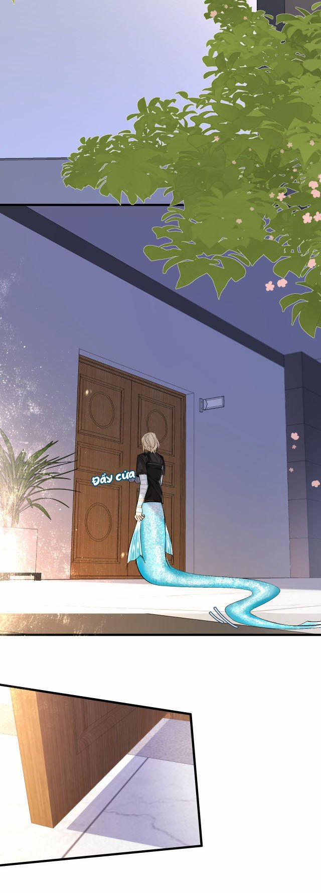 Nhân Ngư Rơi Xuống 26 trang 8