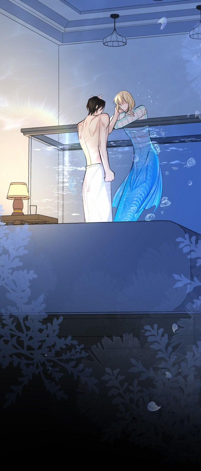 Nhân Ngư Rơi Xuống 27 trang 13