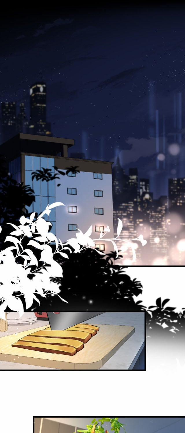 Nhân Ngư Rơi Xuống 27 trang 4