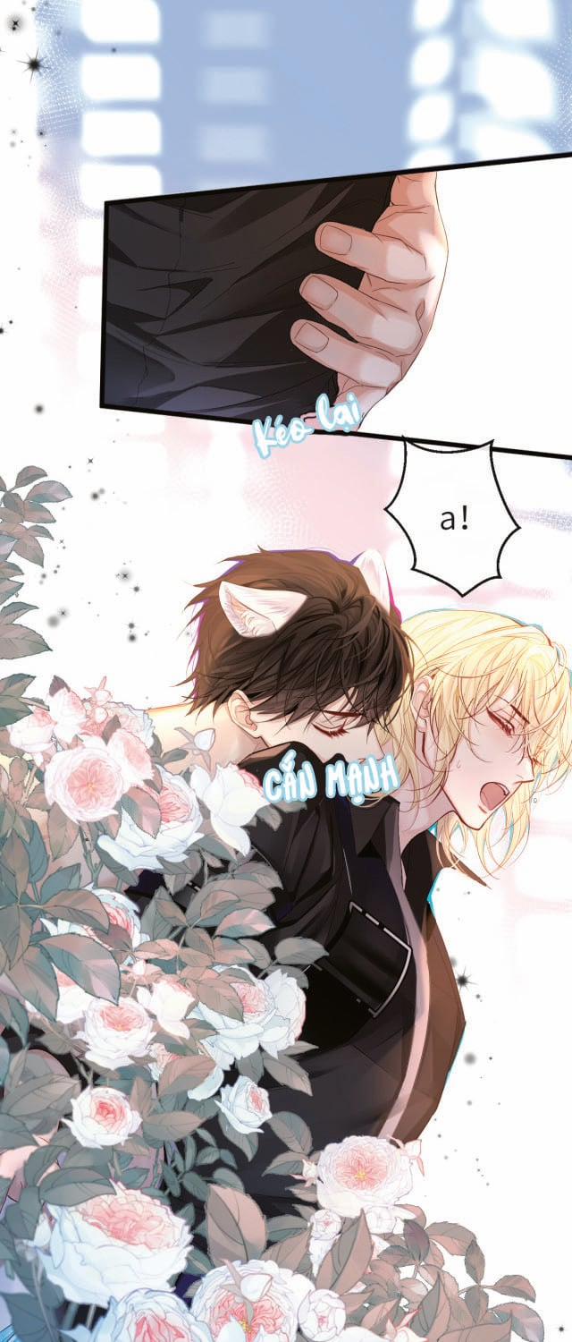 Nhân Ngư Rơi Xuống 28 trang 2