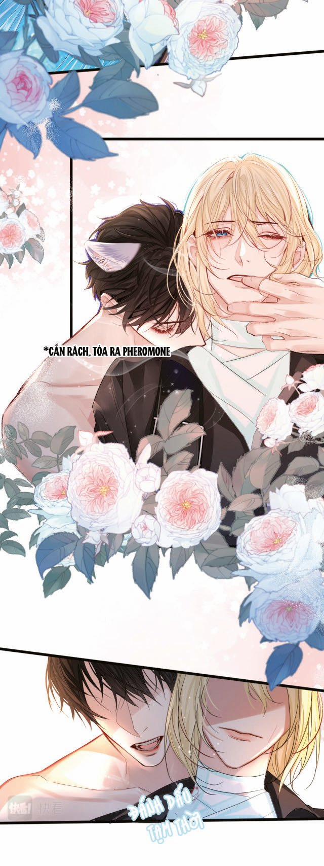 Nhân Ngư Rơi Xuống 28 trang 3