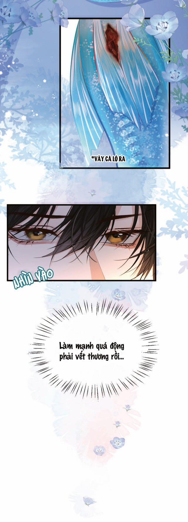 Nhân Ngư Rơi Xuống 28 trang 6