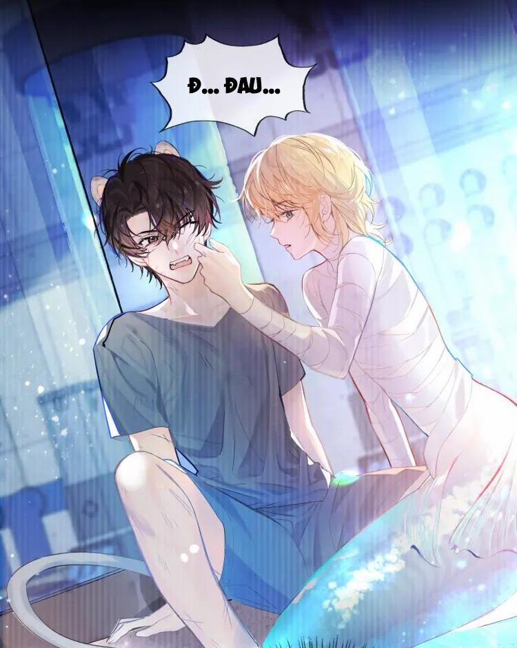 Nhân Ngư Sa Ngã 1 trang 19