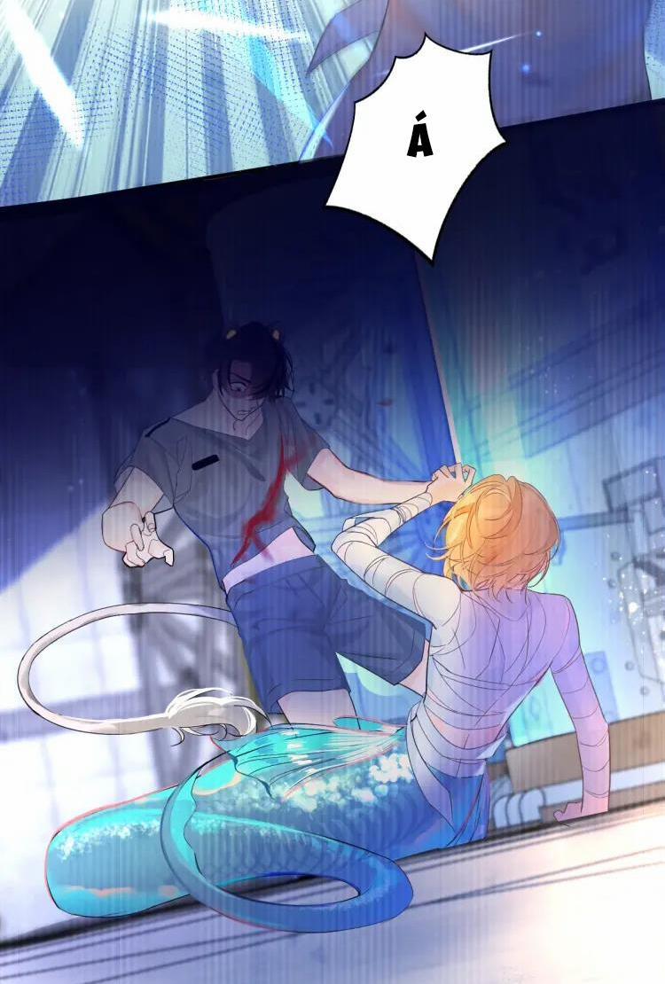 Nhân Ngư Sa Ngã 1 trang 23