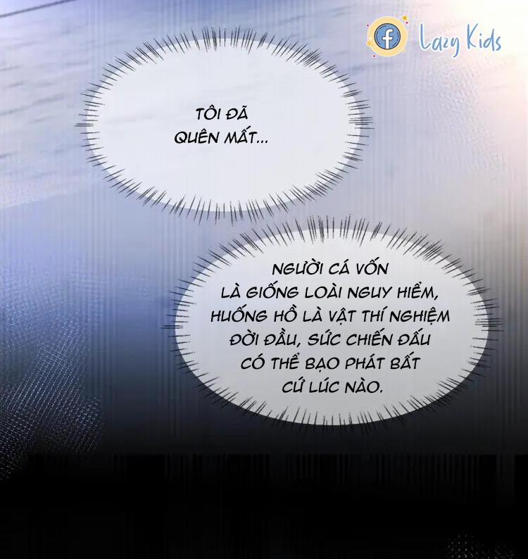 Nhân Ngư Sa Ngã 1 trang 24