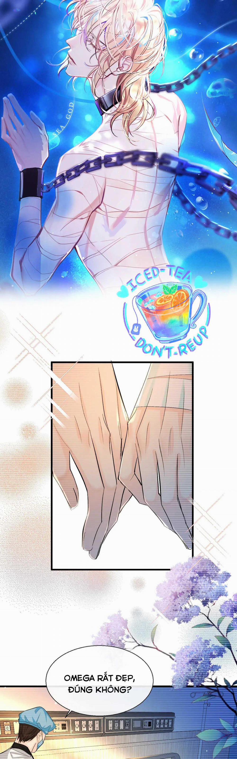 Nhân Ngư Sa Ngã 15 trang 0