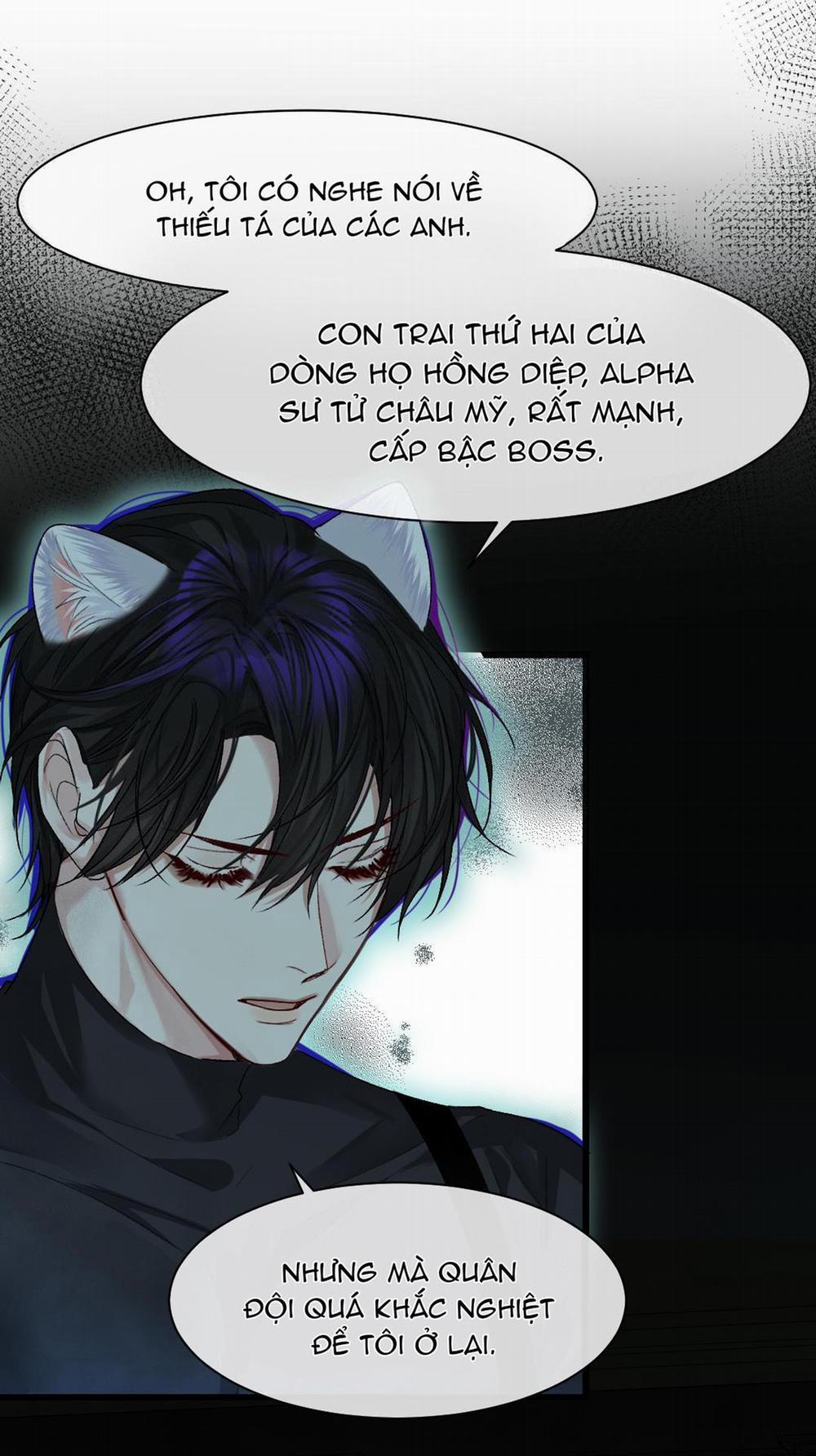 Nhân Ngư Sa Ngã 31 trang 15