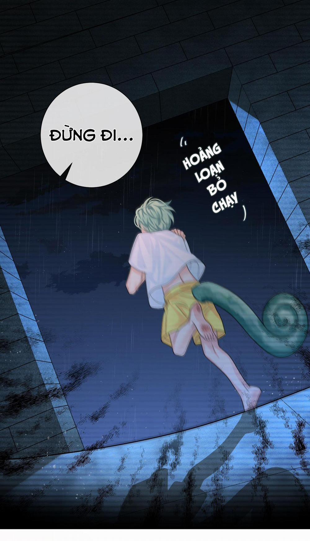 Nhân Ngư Sa Ngã 39 trang 43