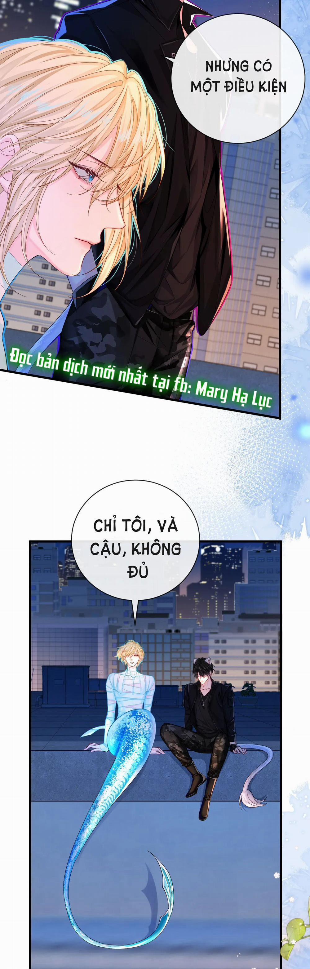 Nhân Ngư Sa Ngã 43.2 trang 5