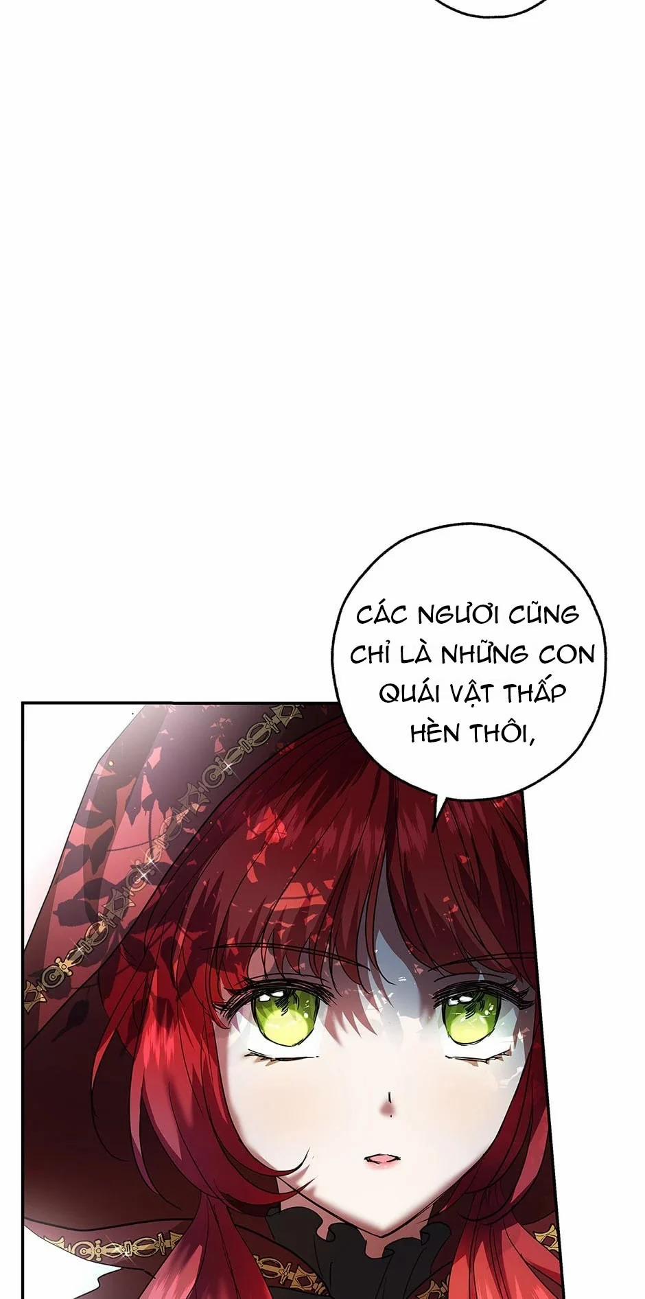 Nhan Sắc Bí Ẩn Của Chồng Tôi 15 trang 14