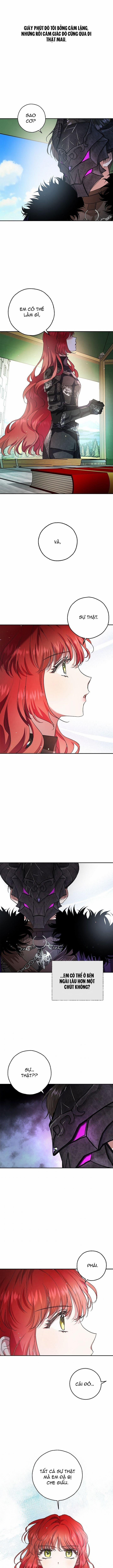 Nhan Sắc Bí Ẩn Của Chồng Tôi 24 trang 11