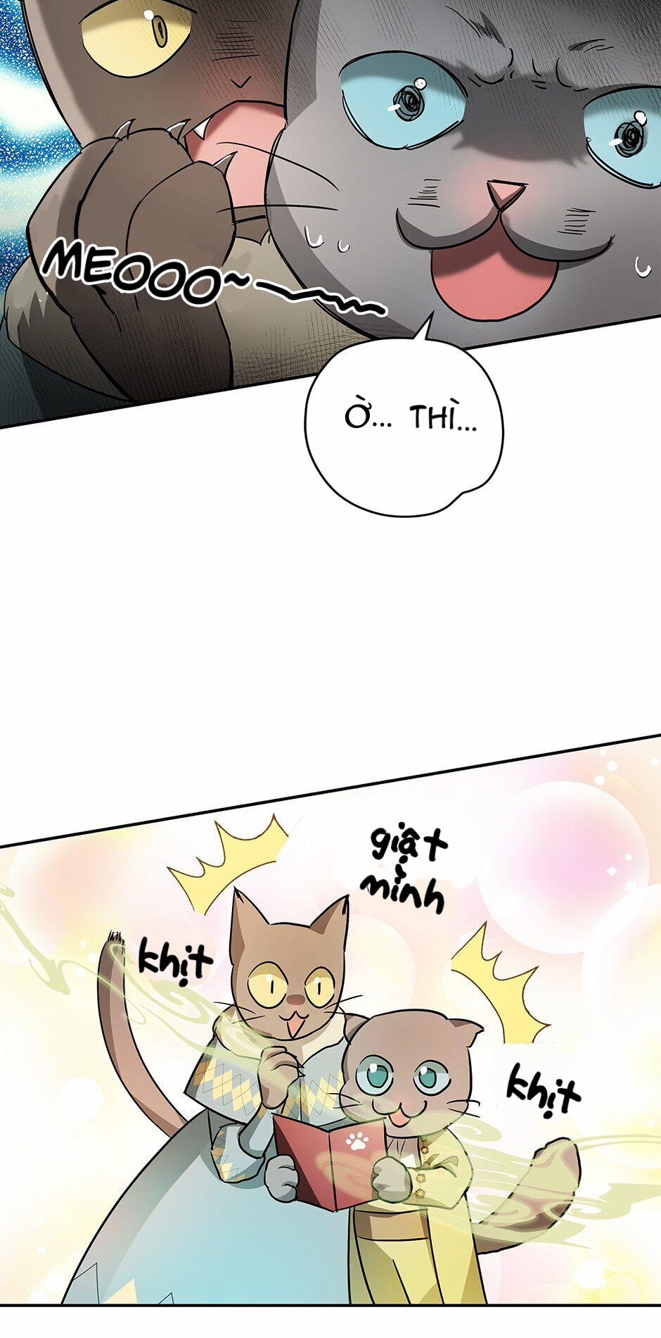 Nhan Sắc Bí Ẩn Của Chồng Tôi 35 trang 47