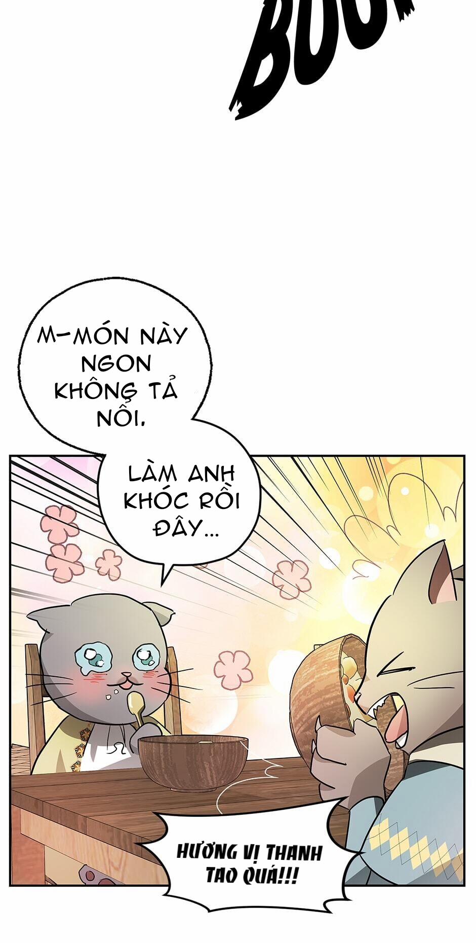 Nhan Sắc Bí Ẩn Của Chồng Tôi 35 trang 56