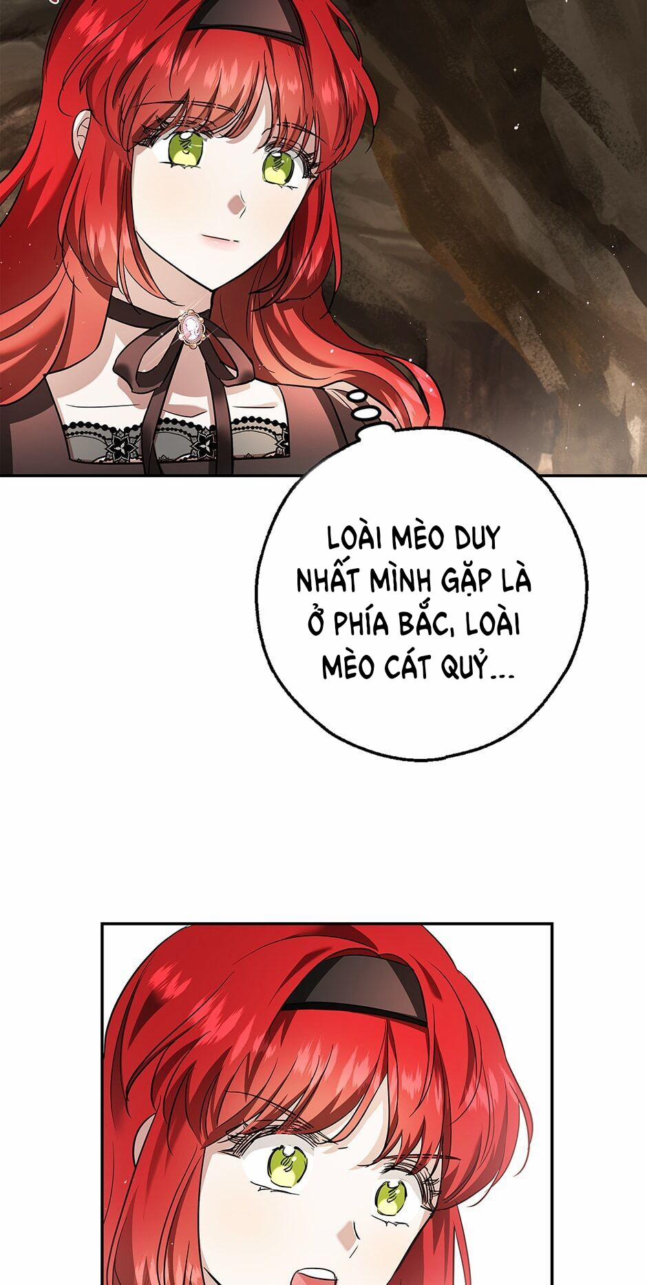 Nhan Sắc Bí Ẩn Của Chồng Tôi 35 trang 9