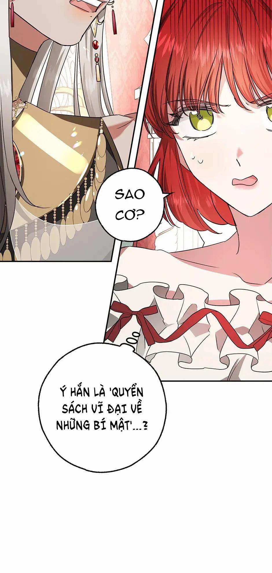 Nhan Sắc Bí Ẩn Của Chồng Tôi 39 trang 43