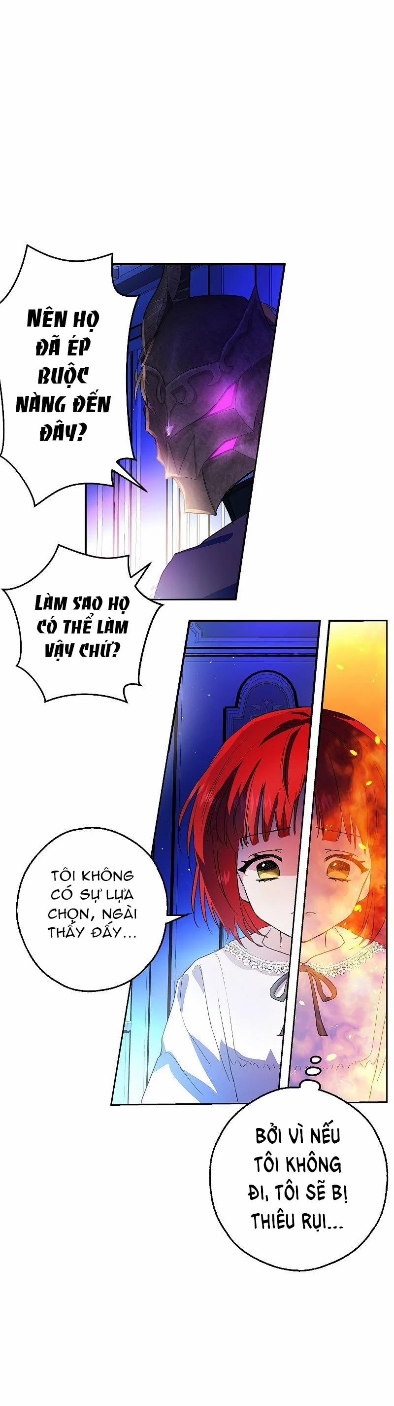 Nhan Sắc Bí Ẩn Của Chồng Tôi 4 trang 26