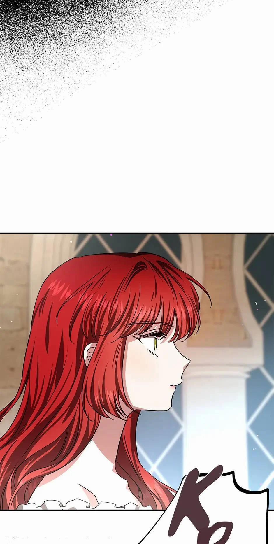 Nhan Sắc Bí Ẩn Của Chồng Tôi 40 trang 25