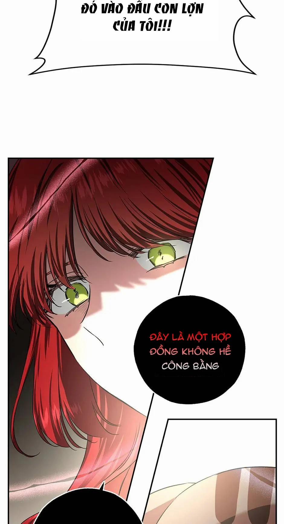 Nhan Sắc Bí Ẩn Của Chồng Tôi 40 trang 35