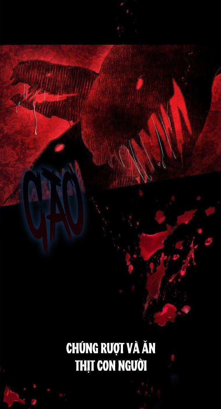 Nhan Sắc Bí Ẩn Của Chồng Tôi 63 trang 12