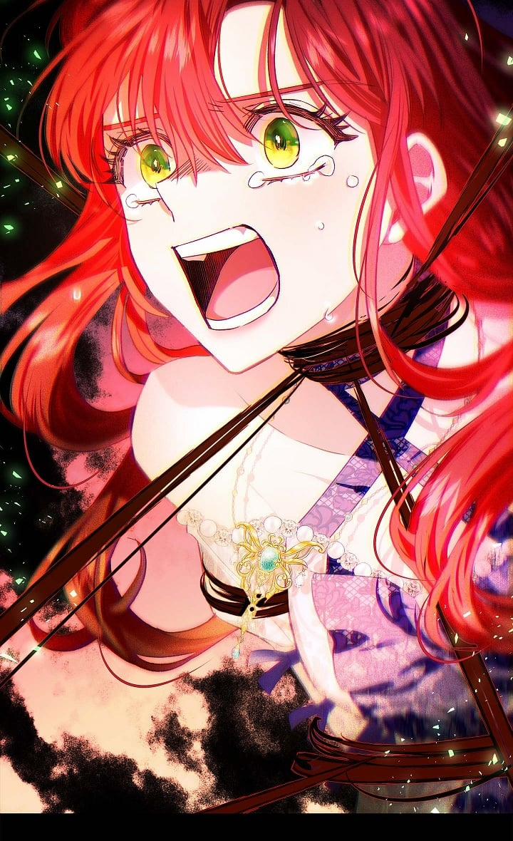 Nhan Sắc Bí Ẩn Của Chồng Tôi 74 trang 14